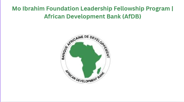 Mo Ibrahim Foundation Leadership Fellowship Program