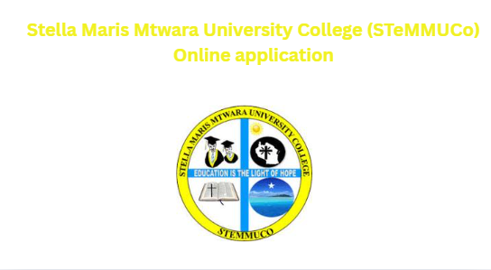 Stella Maris Mtwara University College (STeMMUCo) Online application
