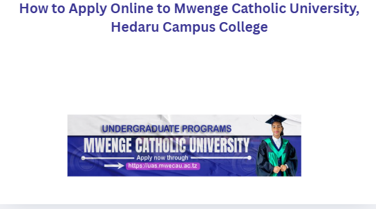 Mwenge Catholic University, Hedaru Campus College