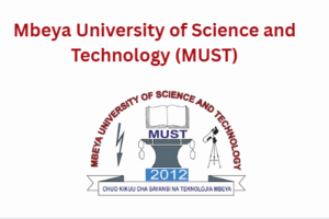 mbeya university of science and technology (must)